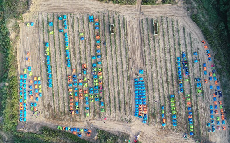 1538279512836056.jpg dsadsf.jpg